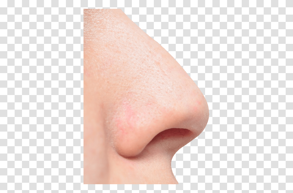 Nose, Person, Skin, Human, Snout Transparent Png