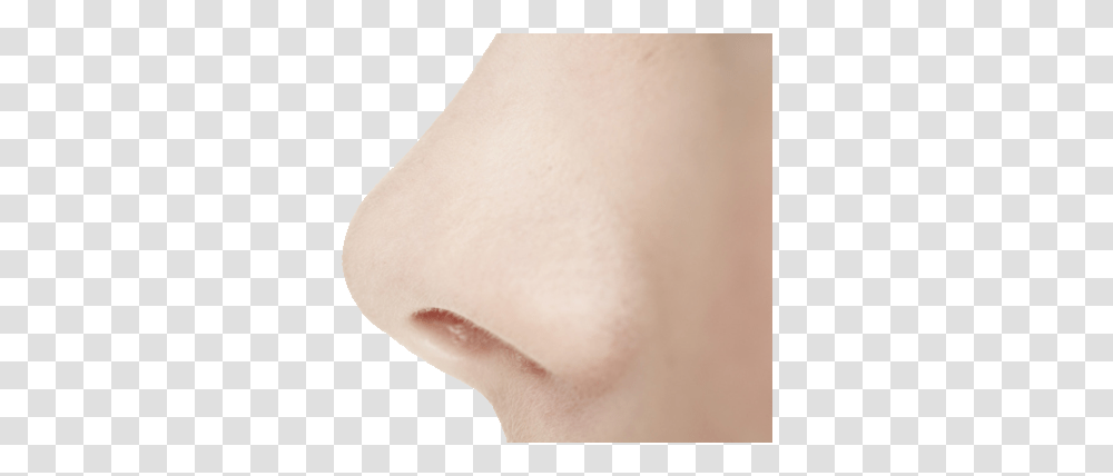 Nose, Person, Skin, Neck, Human Transparent Png