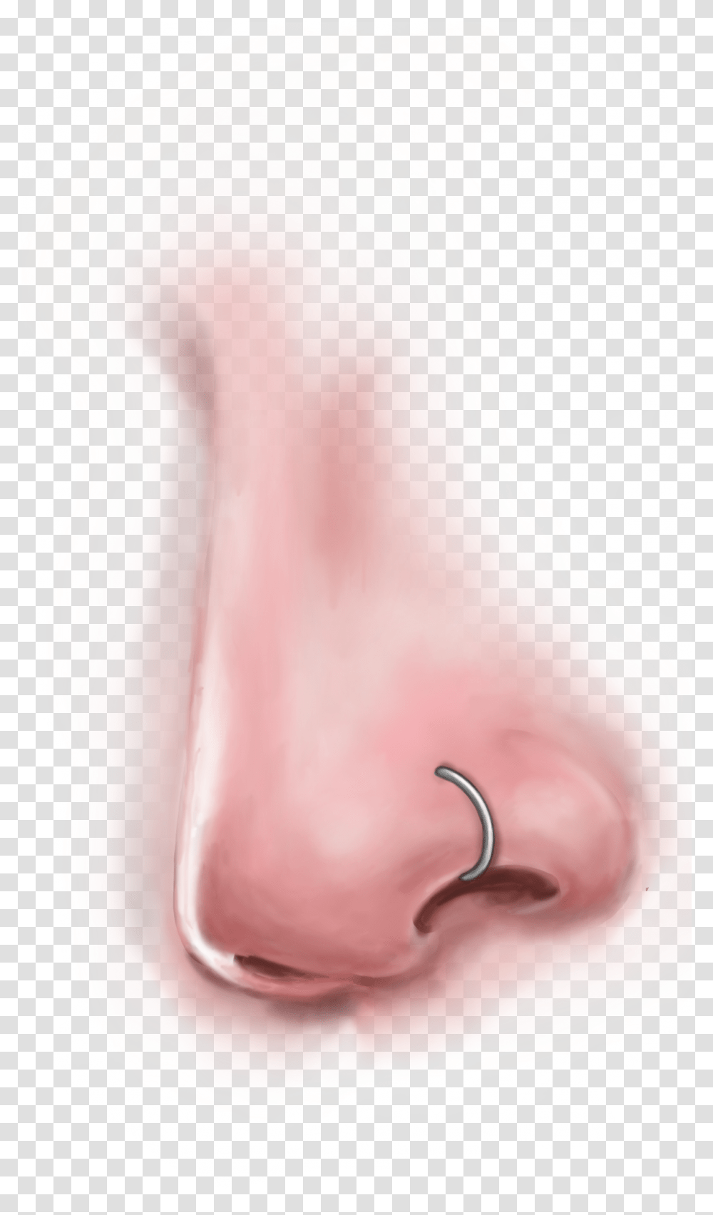 Nose Piercing Pavilion Earrings, Person, Human, Hook, Hand Transparent Png
