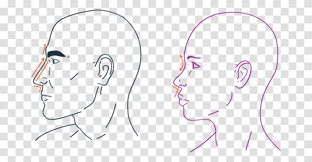 Nose Rhiniplastia In Facial Feminization Surgery Sketch, Head, Face, Ear Transparent Png