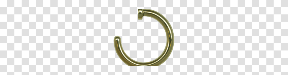 Nose Ring Image, Horn, Brass Section, Musical Instrument, Bugle Transparent Png
