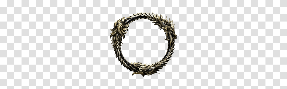 Not Game Breaking But Annoying, Wreath, Accessories, Accessory, Bracelet Transparent Png