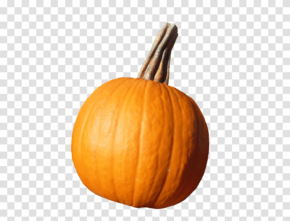 Not Just For Pies Sweet Pea, Plant, Pumpkin, Vegetable, Food Transparent Png