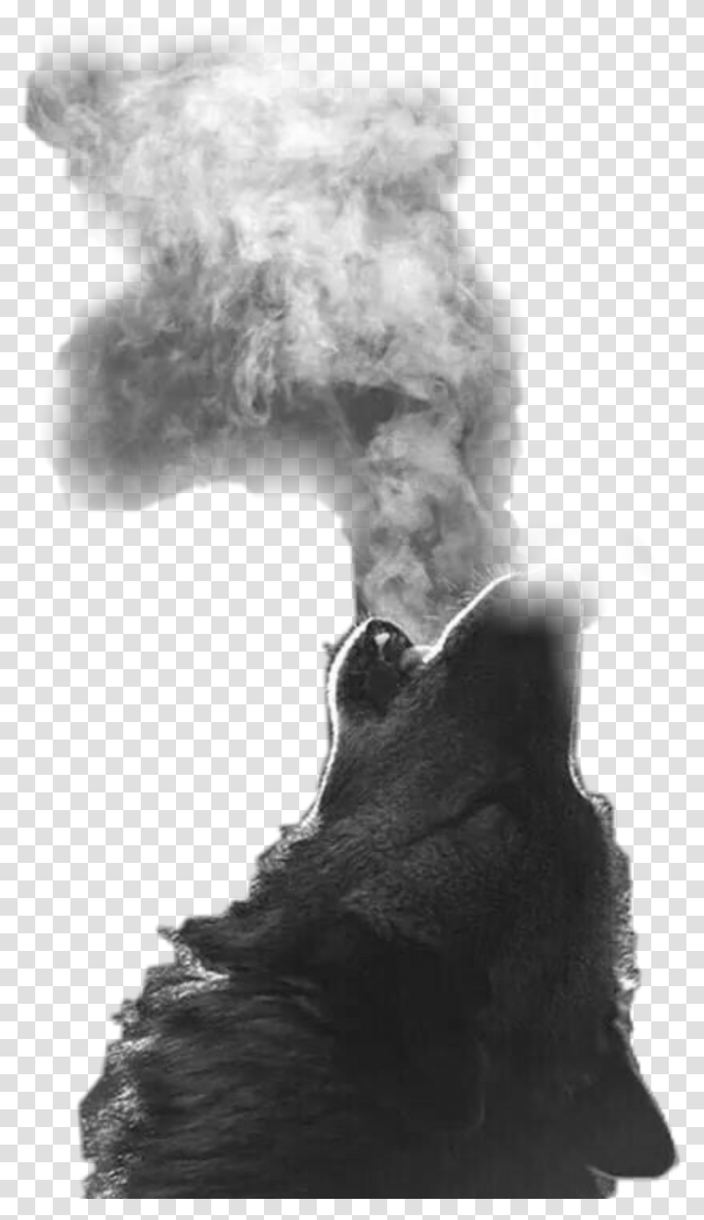Not My Photo But I Thought It Was Cool Fond D Ecran Loup, Smoke, Smoking Transparent Png