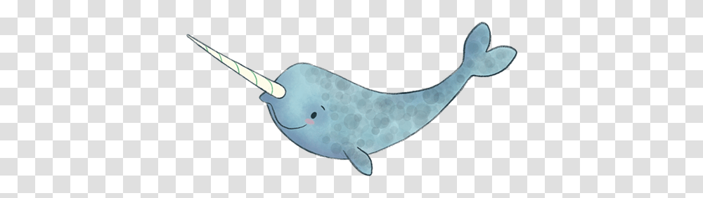 Not Quite Narwhal, Sea Life, Animal, Mammal, Whale Transparent Png