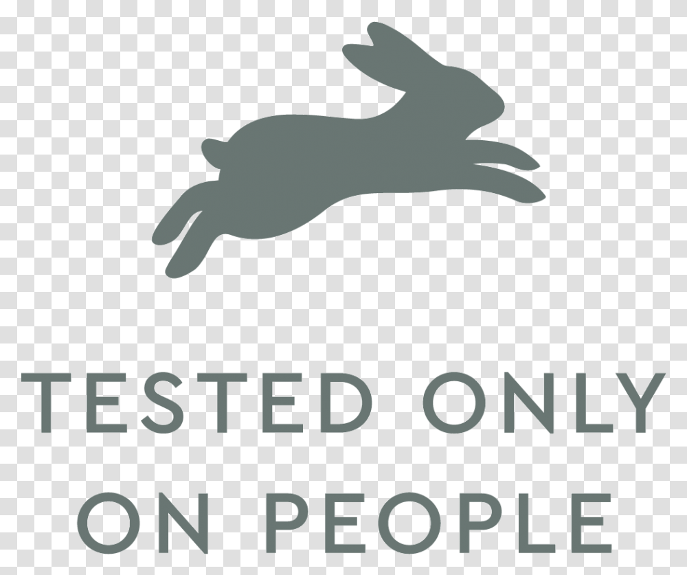 Not Tested On Animals Tested On Animals Logo, Poster, Advertisement, Mammal, Sea Life Transparent Png