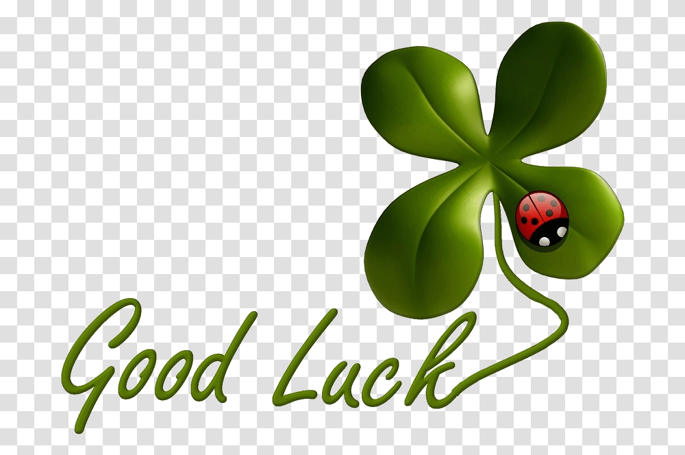 Nothing But Good Luck Good Luck Exam Clipart, Green, Leaf, Plant Transparent Png