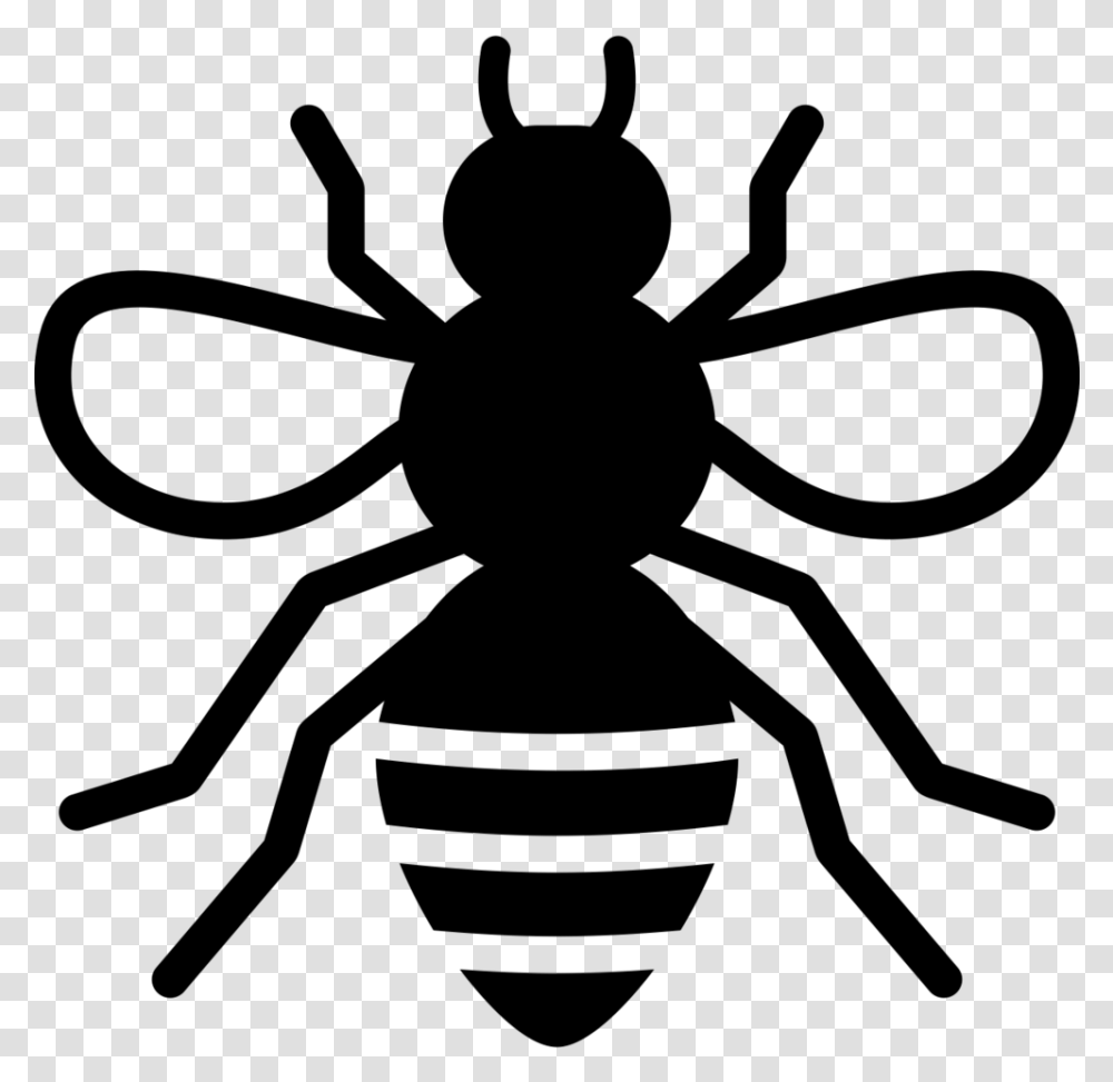 Noun Bee Stingless Bee Icon, Gray, World Of Warcraft Transparent Png