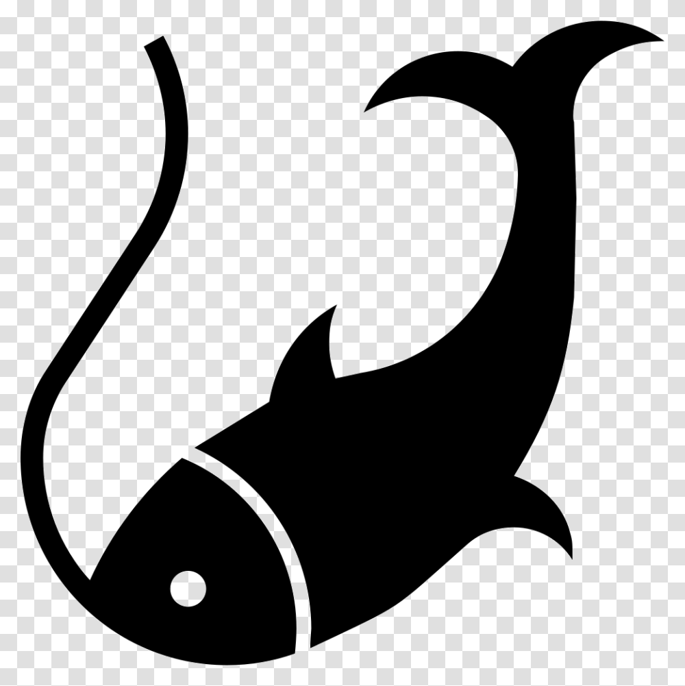 Download Noun Svg Icon Free Download Free Svg Fish Icons Stencil Animal Mammal Transparent Png Pngset Com