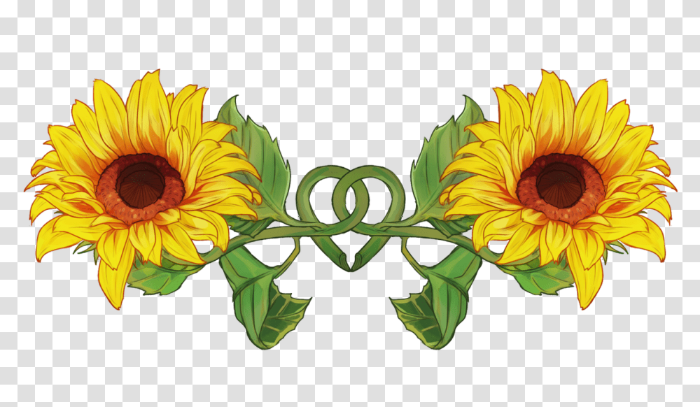 Nova A Sheith Zine On Twitter Sunflower Warmth Happiness, Plant, Blossom Transparent Png