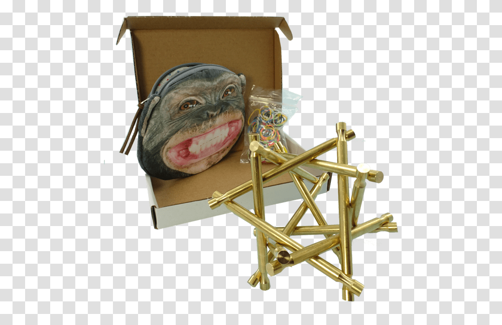 Nova Plexus Two Brass Monkeys Plywood, Bird, Animal, Box, Cardboard Transparent Png