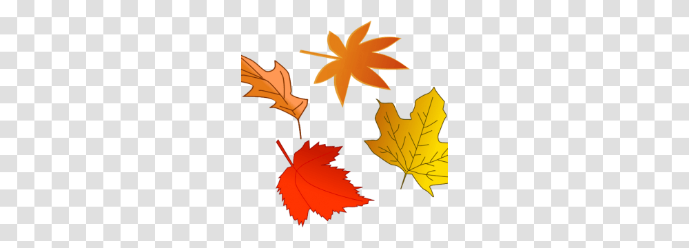November Clip Art Free, Leaf, Plant, Maple Leaf, Tree Transparent Png