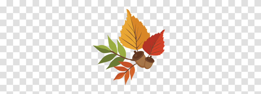 November Clipart, Leaf, Plant, Seed, Grain Transparent Png