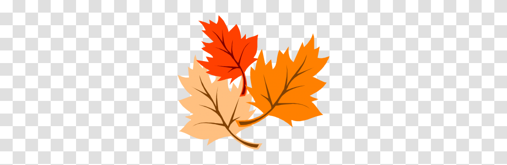 November Clipart, Leaf, Plant, Tree, Maple Leaf Transparent Png