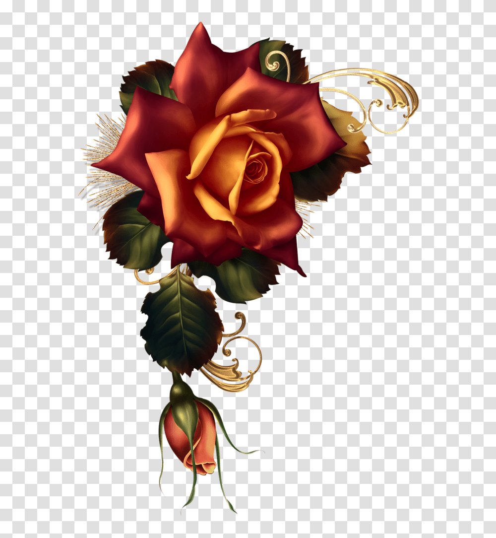 November Embers Moonbeam, Plant, Flower, Blossom, Rose Transparent Png