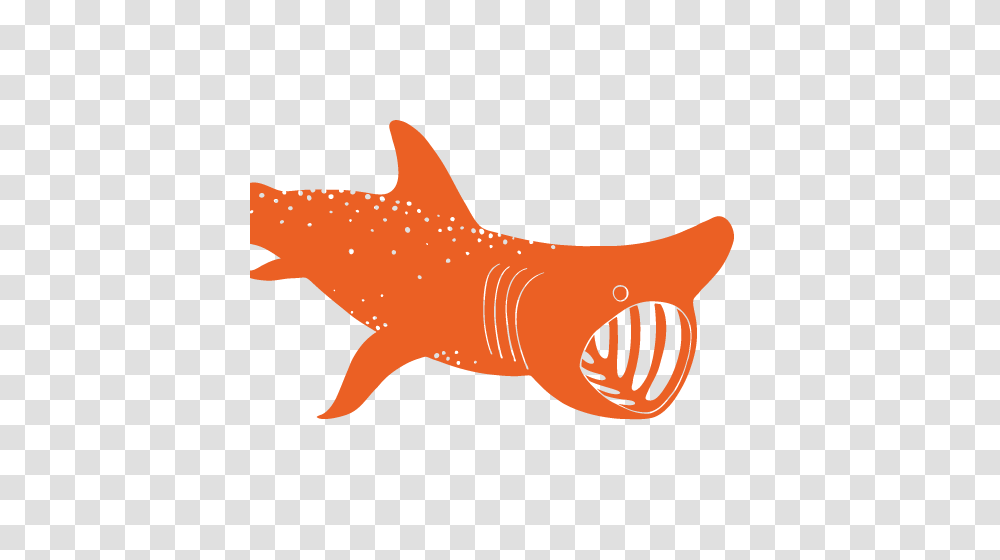 November Ocean Movie Night, Animal, Fish, Shark, Sea Life Transparent Png