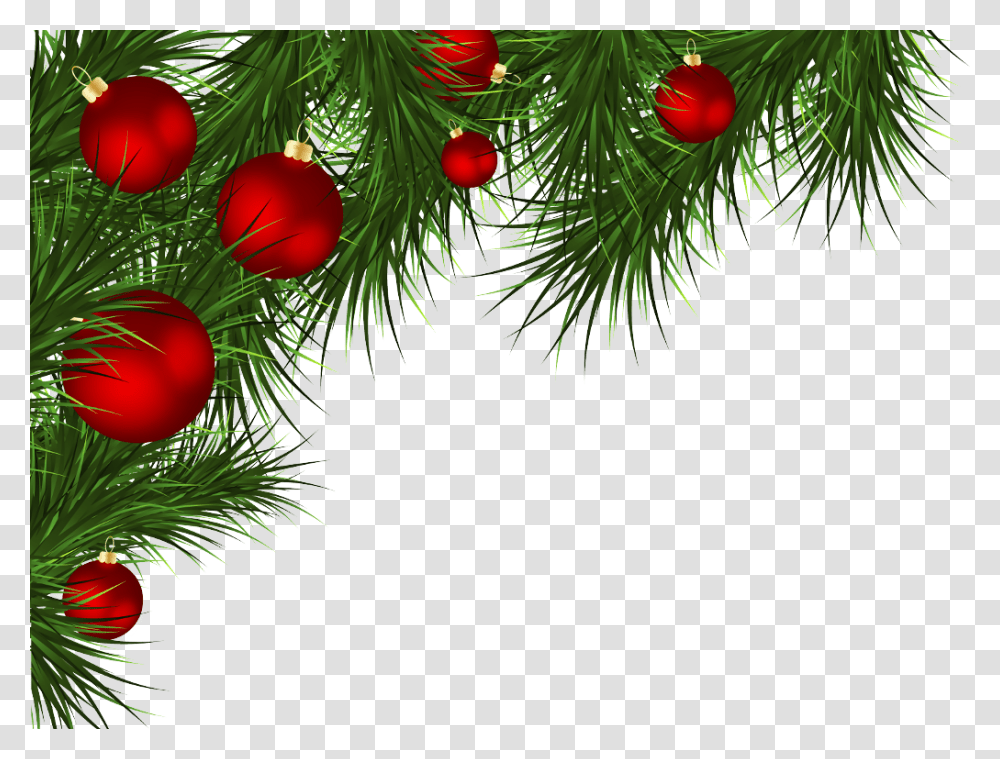 Novijgod Novij God Elka Happynewyear Newyear Frame Christmas Border, Tree, Plant, Conifer, Yew Transparent Png