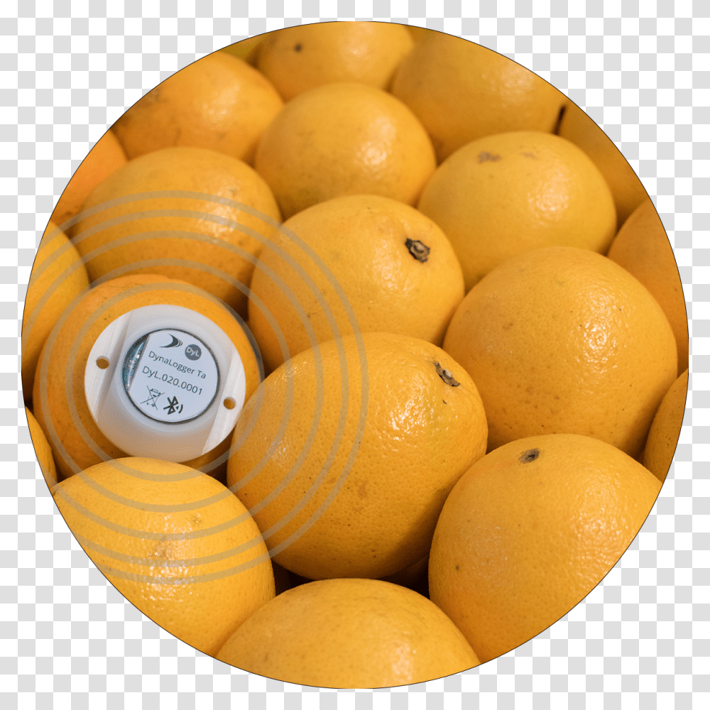 Novo Case Frutas Grapefruit, Plant, Citrus Fruit, Food, Produce Transparent Png