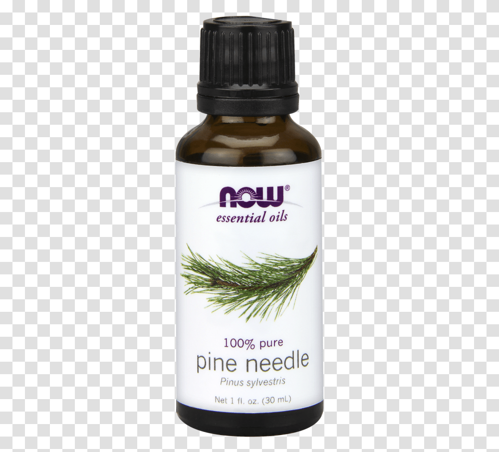 Now Tea Tree Oil, Seasoning, Food, Plant, Dill Transparent Png