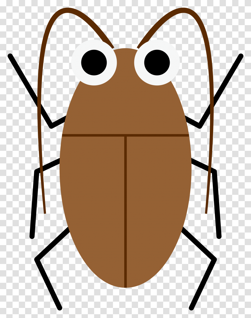 Now You Can Beat Any Big Cockroaches With Those Powerful Cockroach Shirt, Nature, Outdoors, Sea, Water Transparent Png