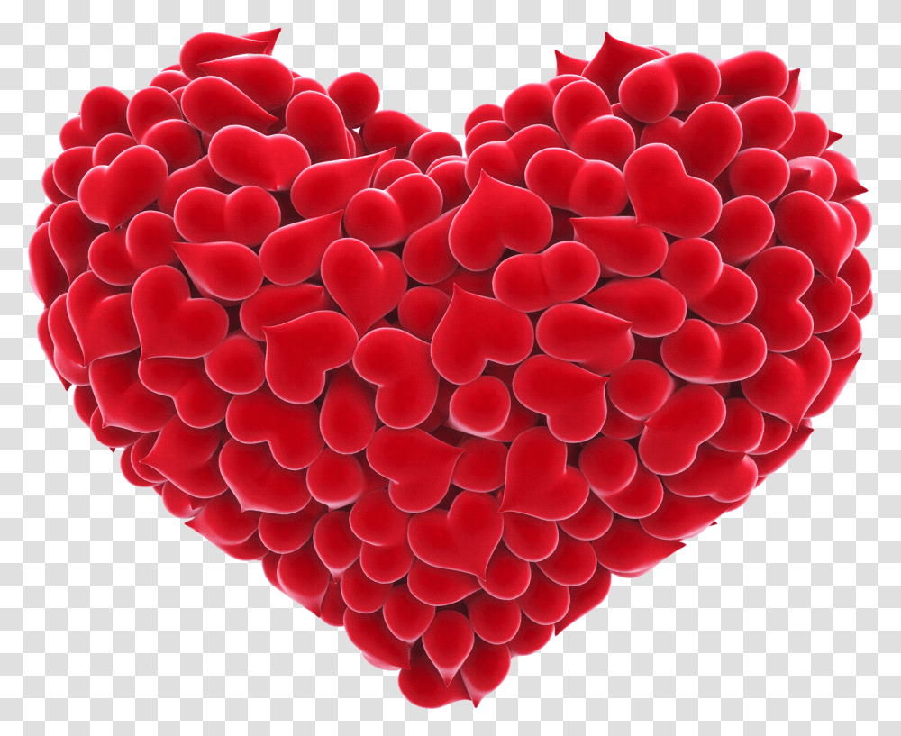 Now You Can Download Heart File Big Red Heart, Plant, Cushion, Rug, Flower Transparent Png