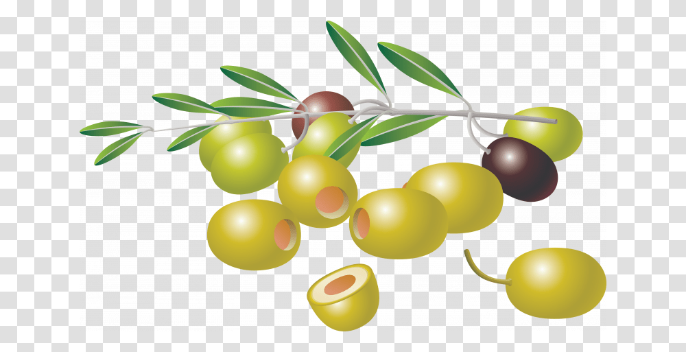 Now You Can Download Olives Picture Clipart Picture Of Olives, Plant, Grapes, Fruit, Food Transparent Png
