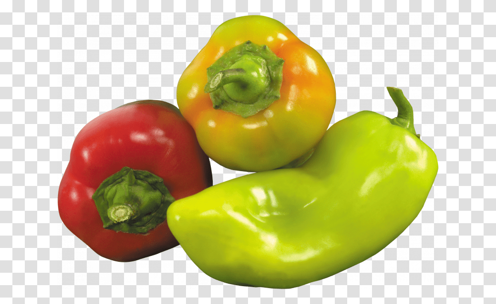 Now You Can Download Pepper Icon Bell Pepper Price Philippines, Plant, Vegetable, Food Transparent Png