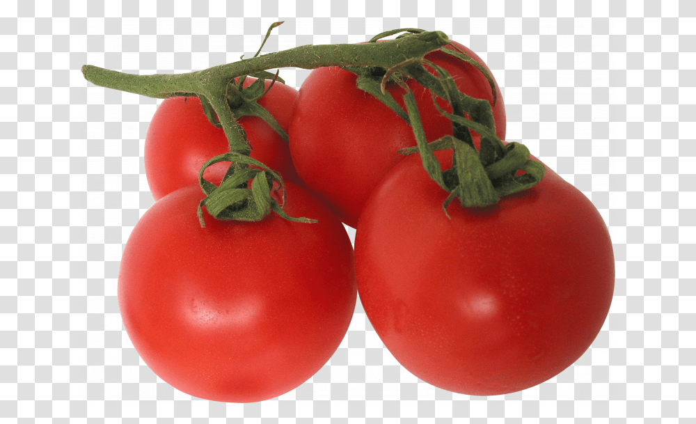 Now You Can Download Tomato Icon Background Tomatoes, Plant, Vegetable, Food Transparent Png