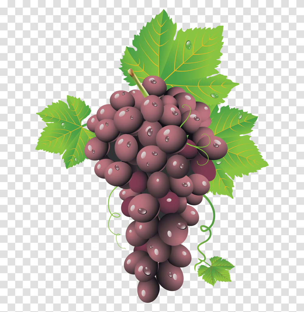 Now You Can Grape Icon Grape Seed, Plant, Grapes, Fruit, Food Transparent Png