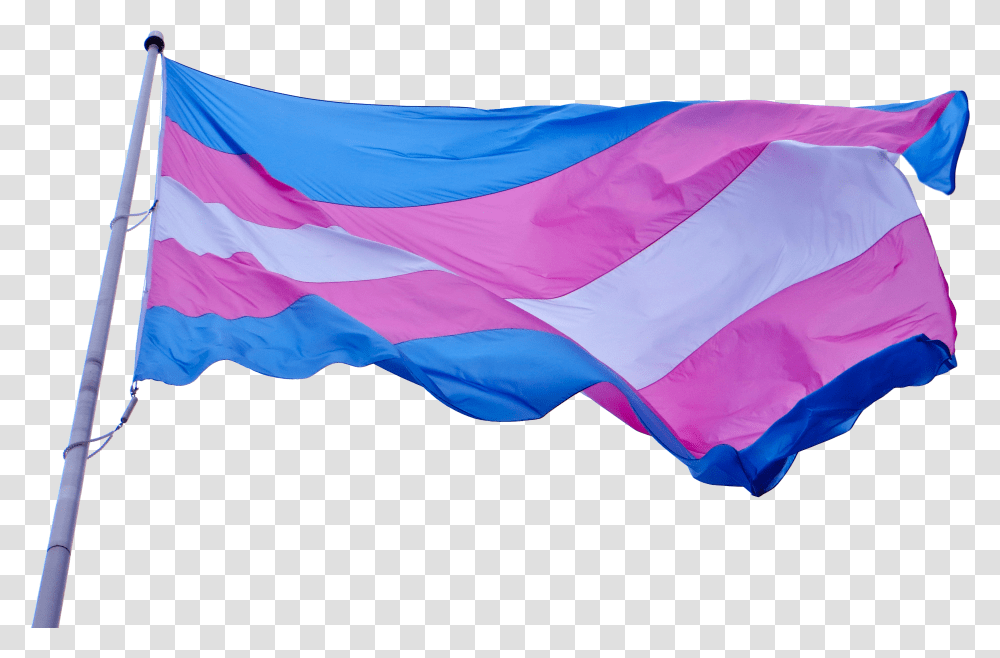 Npp National Progress Party Flag 11 Waving Transgender Flag Gif Transparent Png