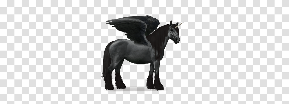 Nr, Fantasy, Horse, Mammal, Animal Transparent Png