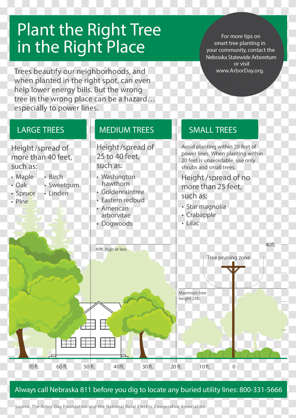 Nreca And Arbor Day Foundation Graphic That Shows Safe Map, Tree, Plant, Flyer, Poster Transparent Png