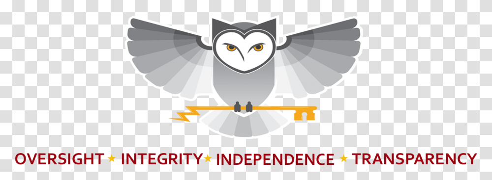 Nsa Gov Accessibility Office Of Inspector General Diamond, Animal, Bird, Owl Transparent Png