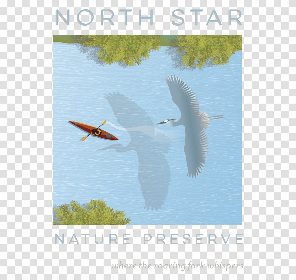 Nsnp Stacked Logo, Bird, Animal, Rowboat, Vehicle Transparent Png