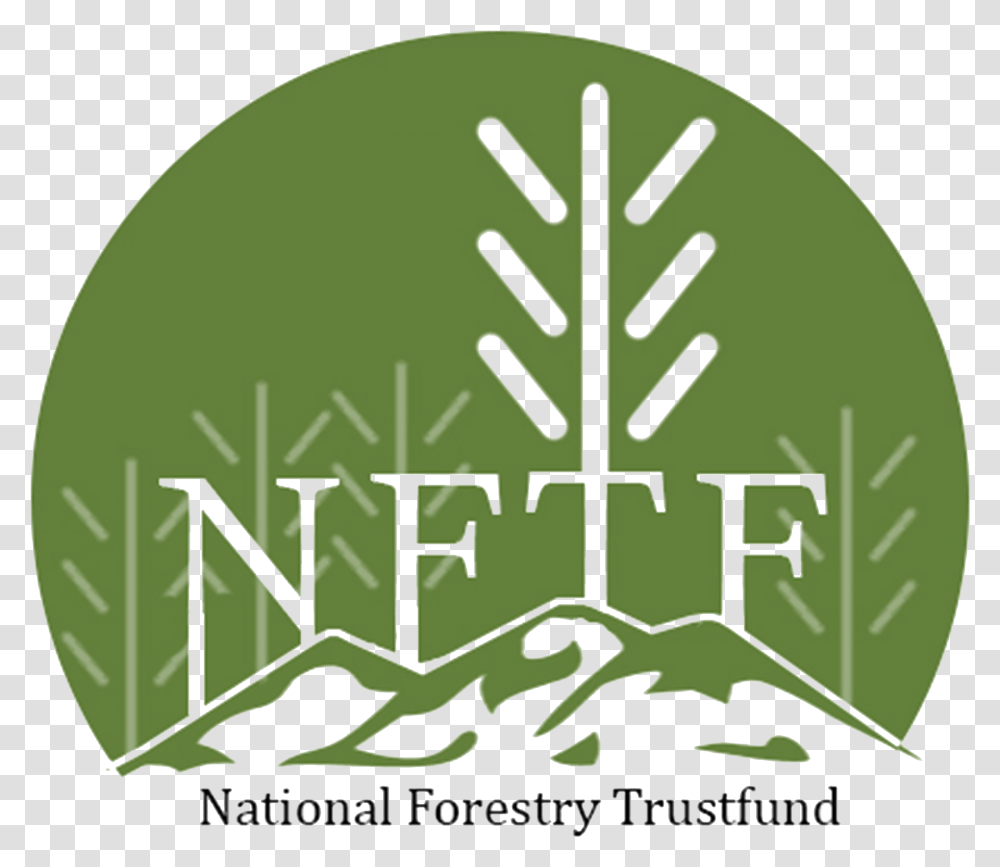 Ntft 3 Logo Language, Word, Green, Text, Plant Transparent Png