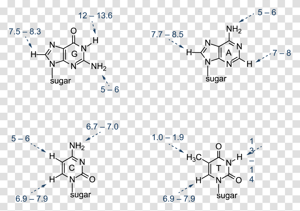 Nucleic Acid Structure Diagram, Number, Alphabet Transparent Png