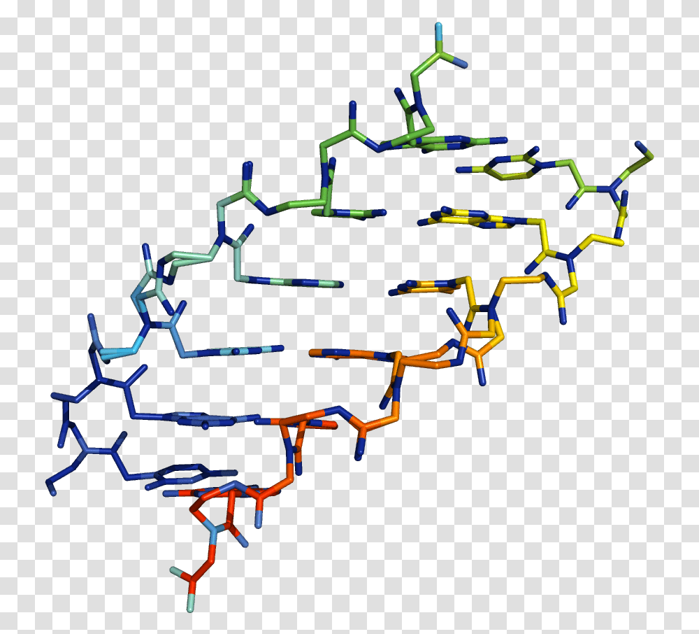 Nucleic Acid, Plot, Diagram, Urban Transparent Png