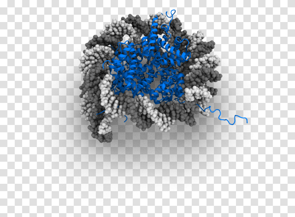 Nucleosome 3d Model, Rug, Pattern, Ornament, Fractal Transparent Png