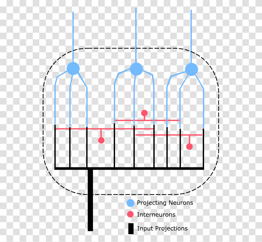 Nucleus Or Ganglion, Plot, Diagram, Measurements, Utility Pole Transparent Png
