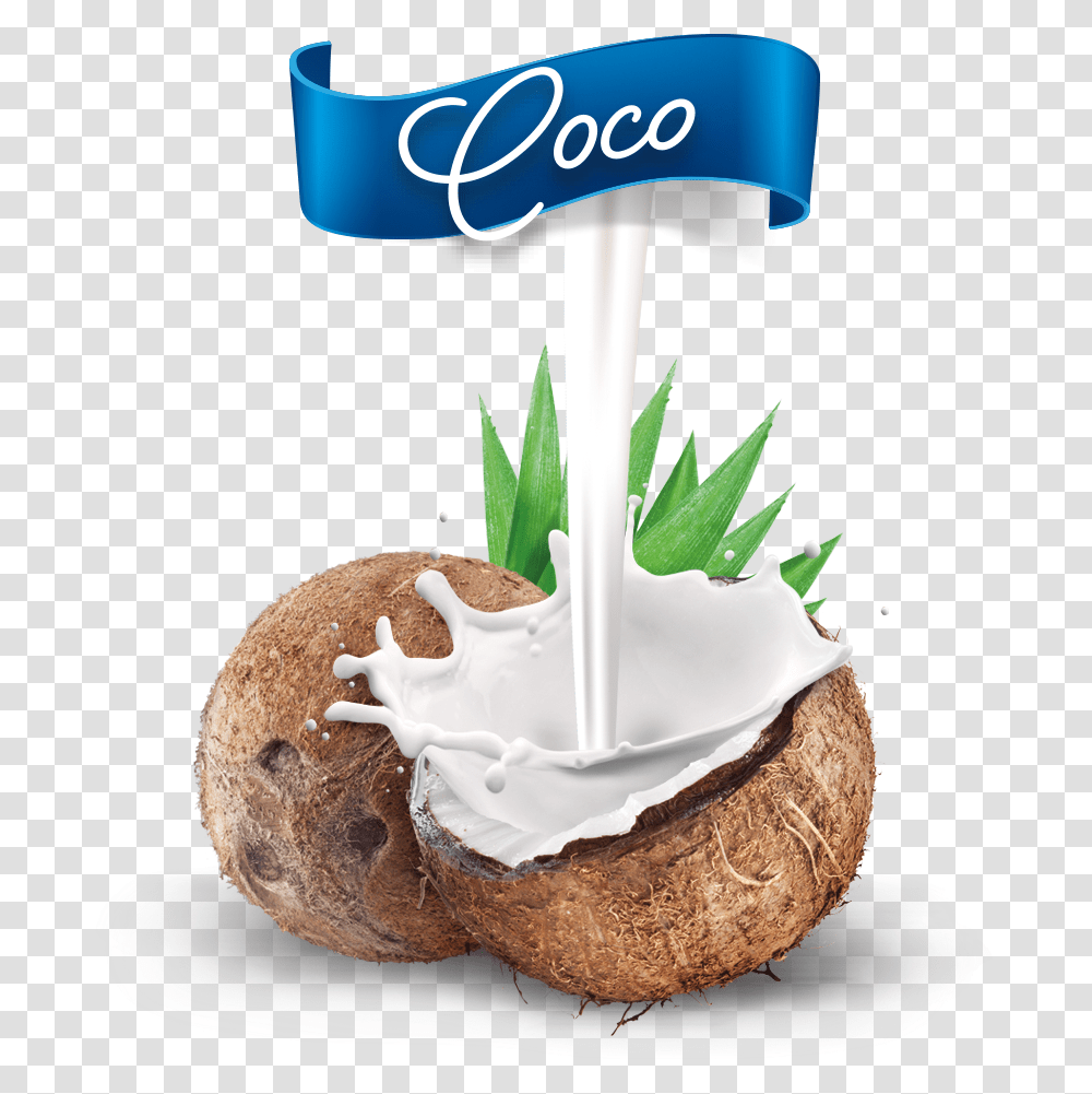 Nuevo Coco Mestre Mestre Coco, Plant, Nut, Vegetable, Food Transparent Png