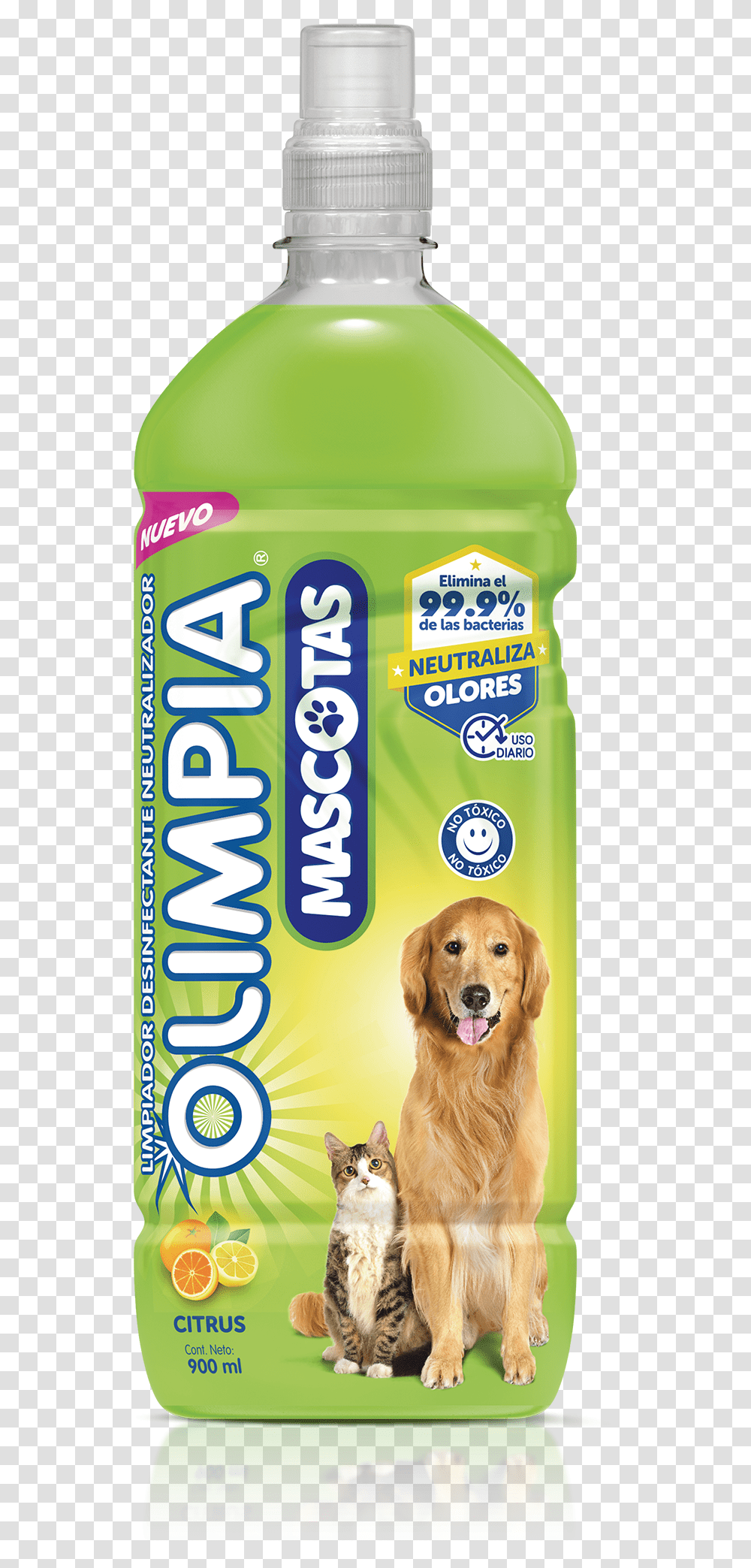 Nuevoproducto Olimpia Mascotas Golden Retriever, Dog, Pet, Canine, Animal Transparent Png
