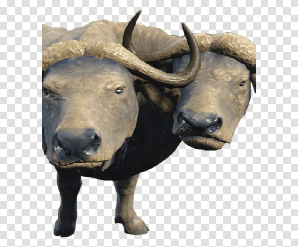 Nukapedia The Vault Bull, Mammal, Animal, Cow, Cattle Transparent Png