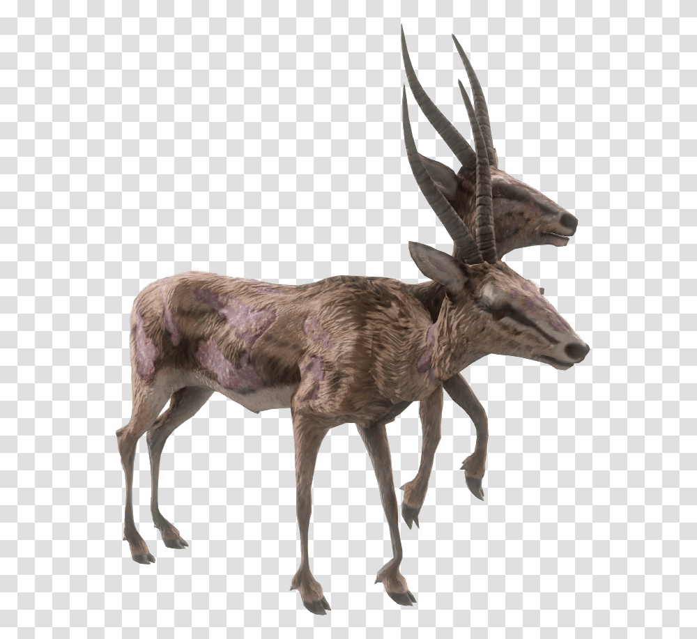Nukapedia The Vault Fallout 4 Deer, Antelope, Wildlife, Mammal, Animal Transparent Png