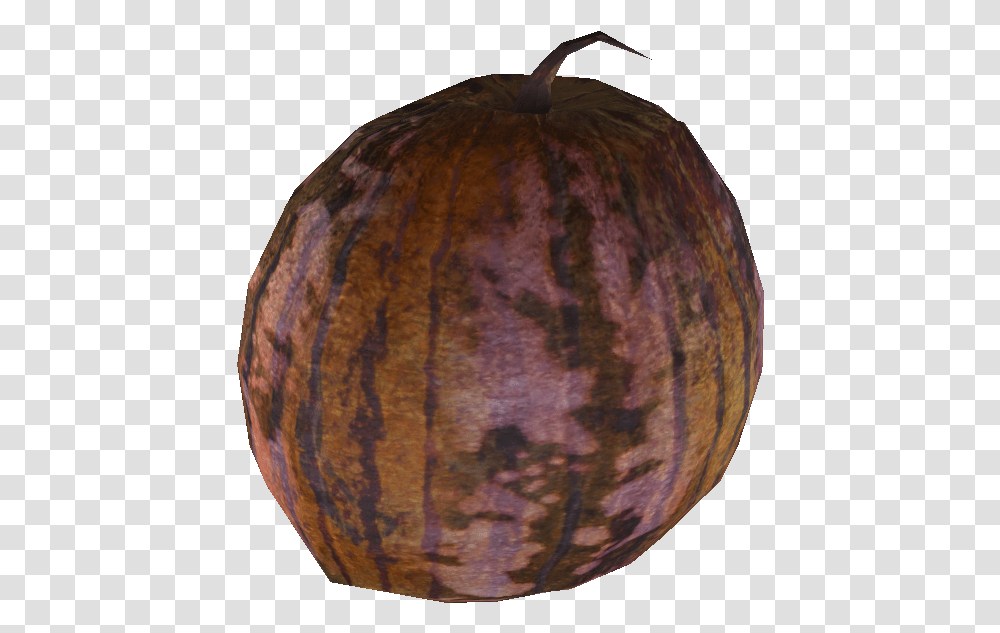 Nukapedia The Vault Fallout 4 Institute Gourd, Plant, Food, Sphere, Produce Transparent Png
