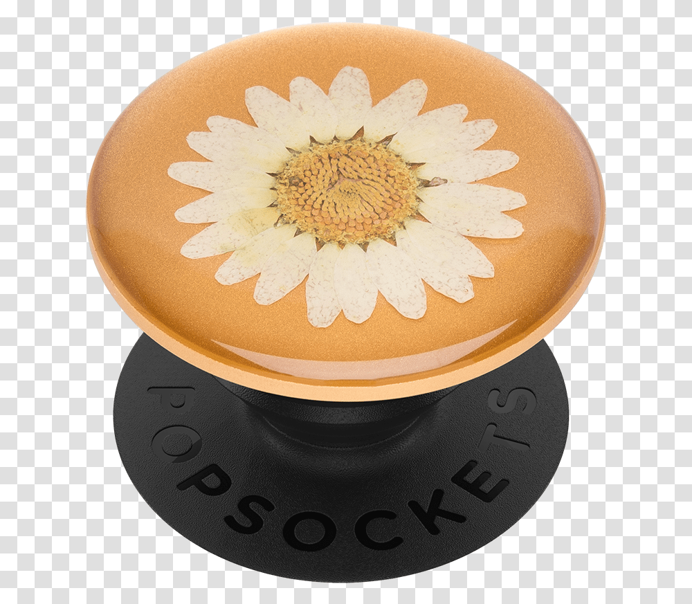 Null Pressed Flower Popsocket Daisy, Pottery, Birthday Cake, Dessert, Food Transparent Png