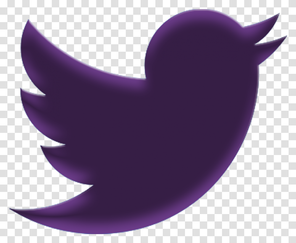 Null Twitter, Purple, Bird, Animal, Mouth Transparent Png