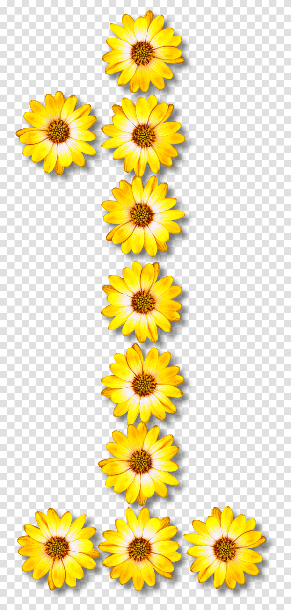 Number 1 Clipart Floral Free Number 1 Flower, Plant, Blossom, Treasure Flower, Daisy Transparent Png