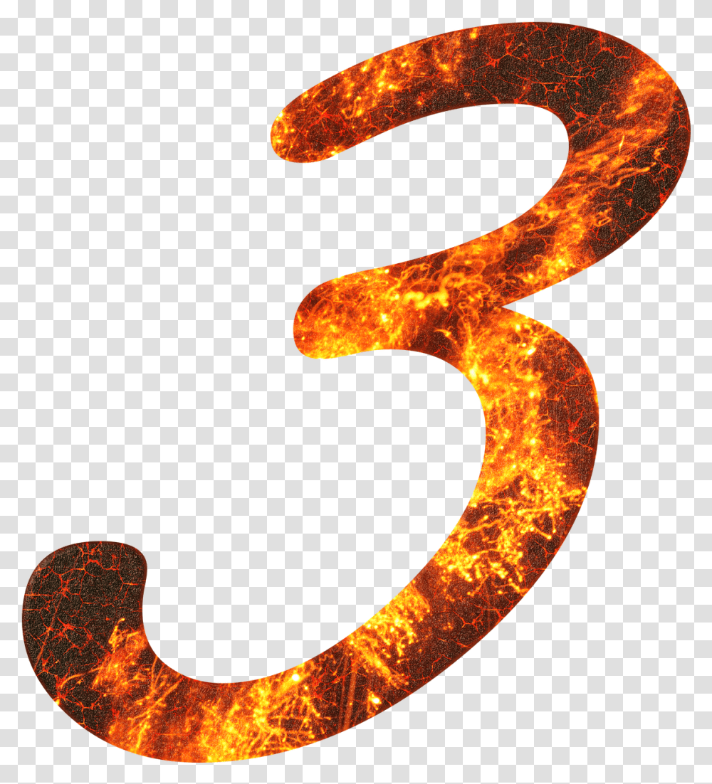 Number 3 Fire Number 3 Fire, Alphabet, Text, Symbol, Fungus Transparent Png
