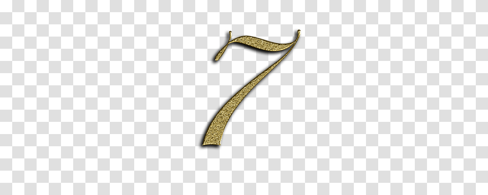 Number Education, Jewelry, Accessories, Accessory Transparent Png