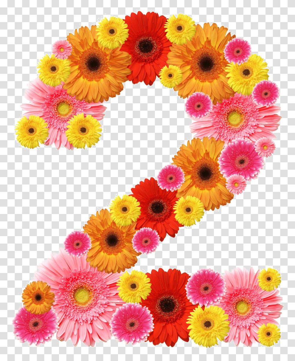 Number Free Download Number 2 Flower Design, Symbol, Text, Graphics, Art Transparent Png